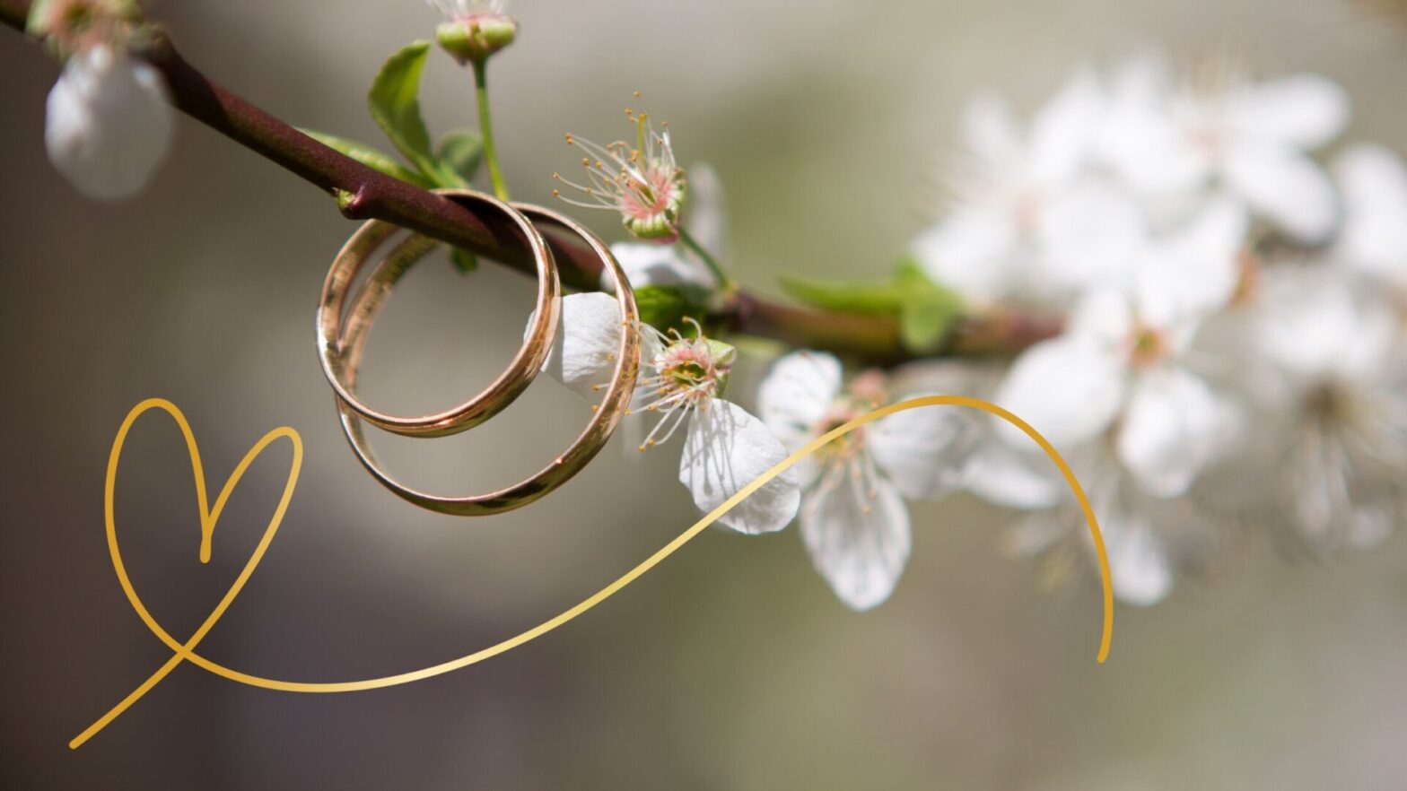 close up of branch with wedding rings